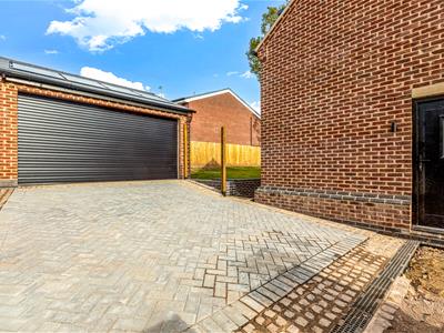 Picture 23